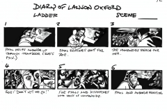 Lawson Oxford boards 6 ladder